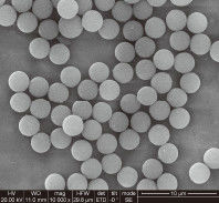 品質  1μm 10 mg / mL 50 mL Carboxylated Magnetic Beads For Immunodiagnosis 工場