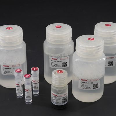 品質  10 mg / mL Protein A  Magnetic Beads For Immunoprecipitation 100 Reactions 工場