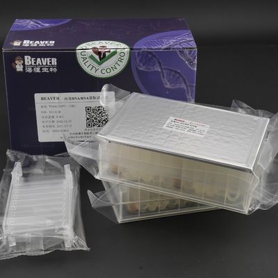 品質  Viral DNA RNA Kit Nucleic Acid Extraction Kits Prefilled Plates 32 Reactions U Bottom 工場