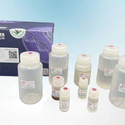 ビーバーは出生前の診断および腫瘍のスクリーニングのための循環DNAの抽出のキットに玉を付ける