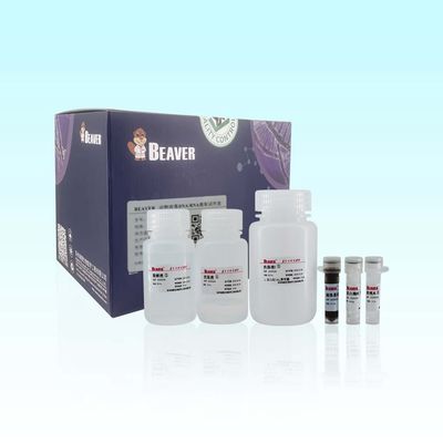 科学研究のための20のRxns BeaverBeads動物のウイルスDNAのRNAのキット