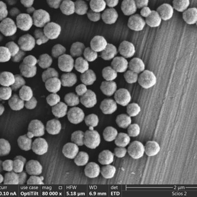 100つのML Streptavidin 300 Nmは急速にのための交配の生物的核酸の調査を結合する