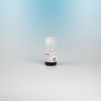 BEAVER GST 融合タンパク質浄化ビーズ GSH 磁石ビーズ タンパク質浄化 新しい機能材料 GSHキット設計 GST タンパク質浄化