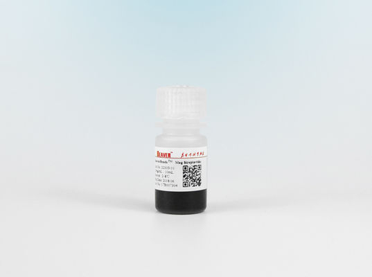 調査の捕獲を分類する化学ルミネセンスの細胞のための1μm Streptavidinの磁気ビード