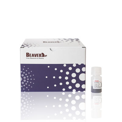 50% Volume Ratio 10 mL アガロース OH マグビーズ タンパク質 浄化 核酸抽出と浄化