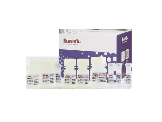 BeaverBeadsTM 廃水核酸抽出キット環境試験