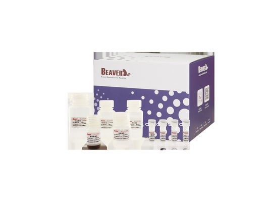 ビーバービーズTM DNA/RNA 血液 核酸抽出 磁石ビーズ キット ゲノム抽出 RNA抽出 キット ゲノム