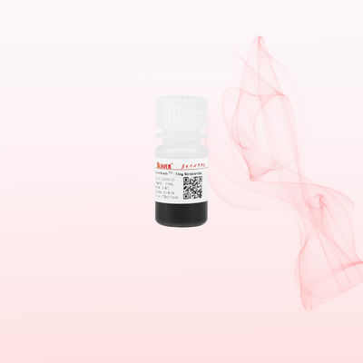 BeaverBeads 1um/2um/5um/300nm/2.8um/3um ストレプトアビジン磁気ビーズ (化学発光および核酸検出用)
