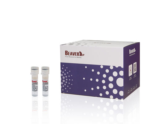 ビーバービーズTM 核酸キット PCR 浄化剤 DNA 復元および PCR 製品からの不浄を取り除く