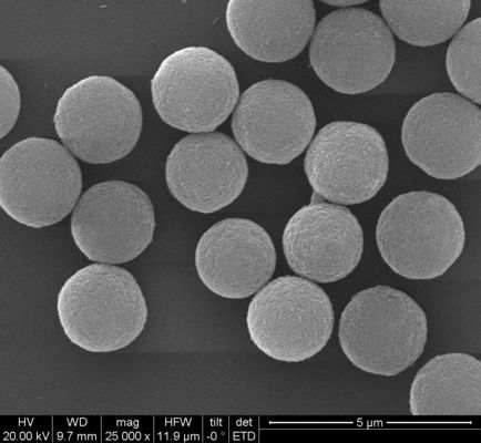 Immunodiagnosis 300nmのためのポリマーCarboxylビード10のmg/ml 50のmL