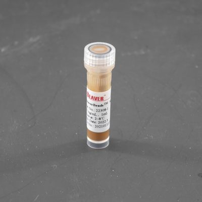 調査の捕獲を分類する細胞10のmg/mlのための300nm Streptavidinの磁気ビード1つのmL