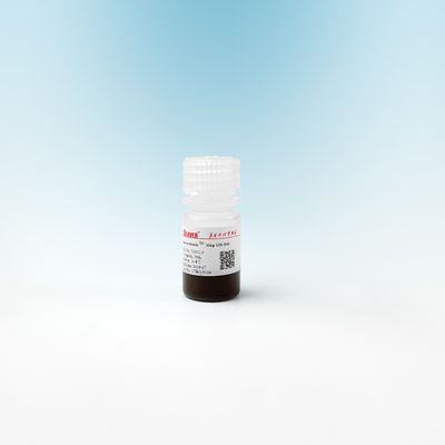 DNAの抽出500nmのためのMagオハイオ州の無水ケイ酸の磁気ビード10のmg/ml 5つのmL