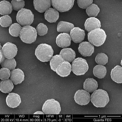 2μm Streptavidinは100つのmL化学ルミネセンスのための磁気ビードに塗った