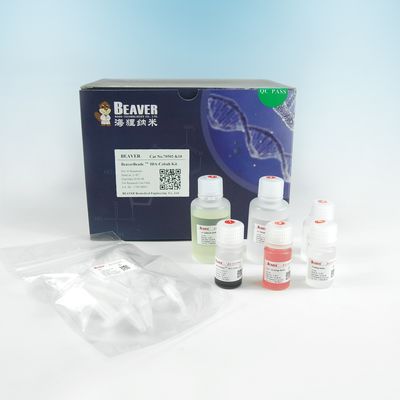 150 μm彼の札蛋白質の浄化IDAのコバルトのMagbeadsのキット10%の容積の比率