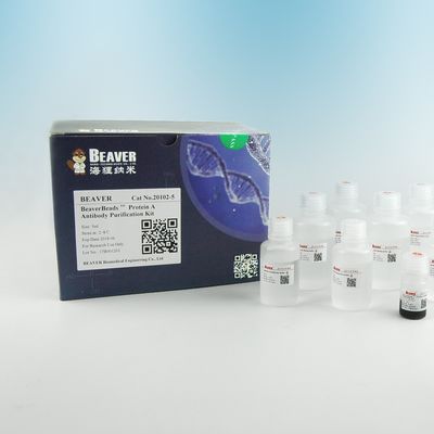 蛋白質Aの抗体の磁気ビード蛋白質の浄化2μm 30のmg/ml 5つのmL