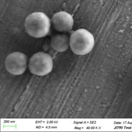 さまざまな緩衝システムのDNAの抽出のための50のmL 500nmの無水ケイ酸の磁気ビード