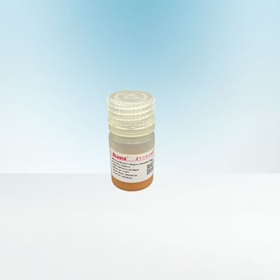 磁気5つのmL 10-30μm Agrose StreptavidinはBiotinylated IgGのための20%に玉を付ける